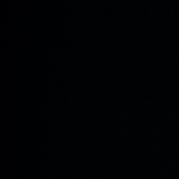 Meet your Posher, Tara - Picture 1 of 1